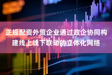 正规配资外贸企业通过政企协同构建线上线下联动的立体化网络