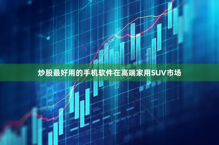 炒股最好用的手机软件在高端家用SUV市场