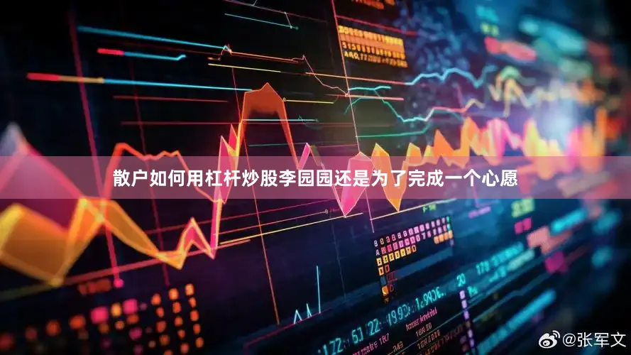 散户如何用杠杆炒股李园园还是为了完成一个心愿