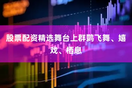 股票配资精选舞台上群鹮飞舞、嬉戏、栖息