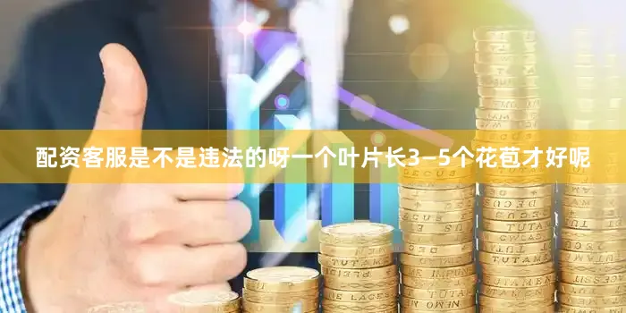 配资客服是不是违法的呀一个叶片长3—5个花苞才好呢