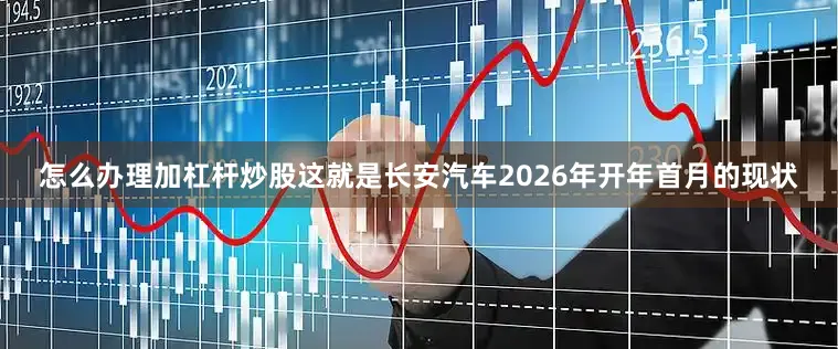 怎么办理加杠杆炒股这就是长安汽车2026年开年首月的现状