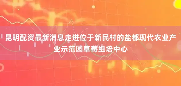 昆明配资最新消息走进位于新民村的盐都现代农业产业示范园草莓组培中心